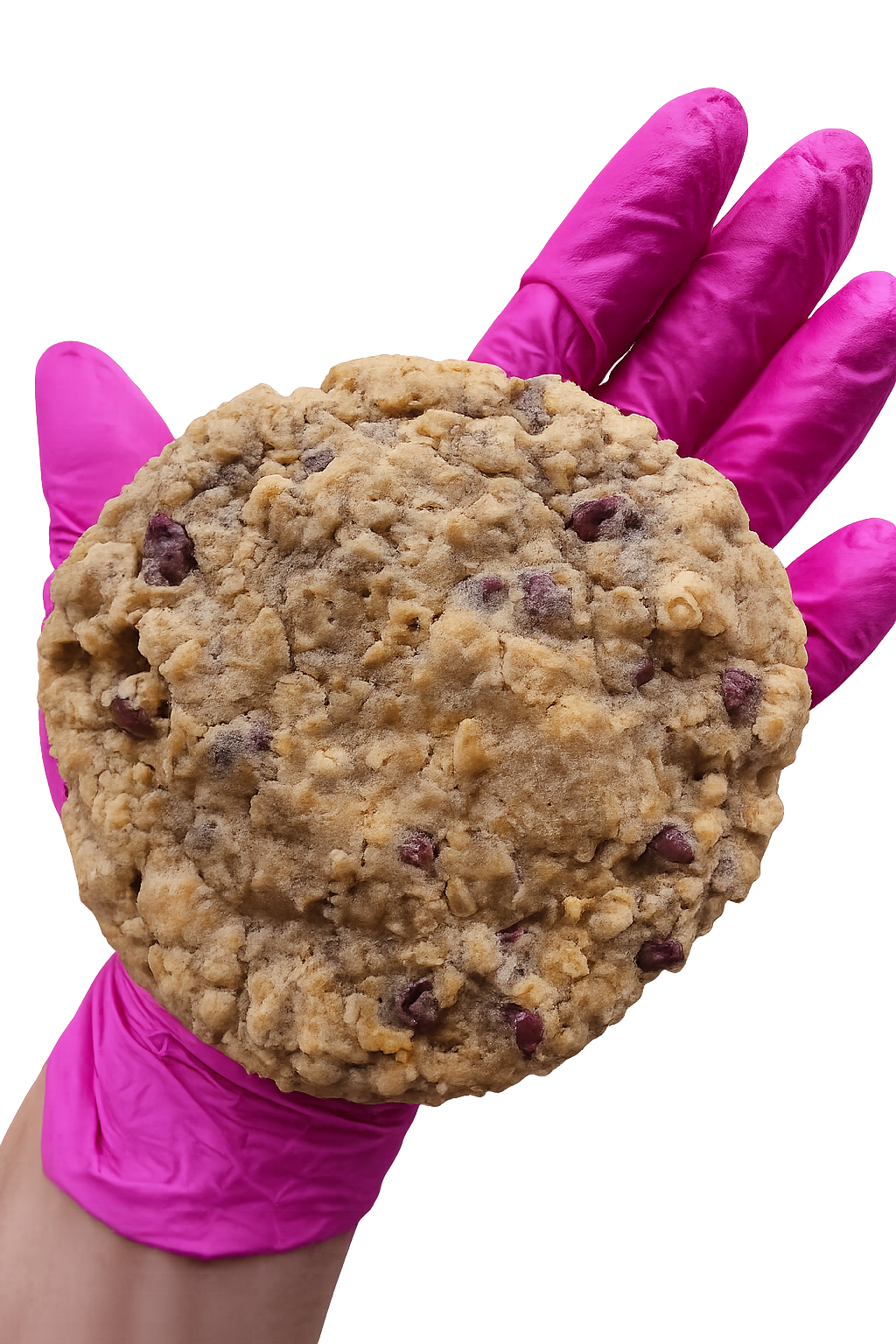 Classic Chocolate Chip Oatmeal Cookies (12 Pack)
