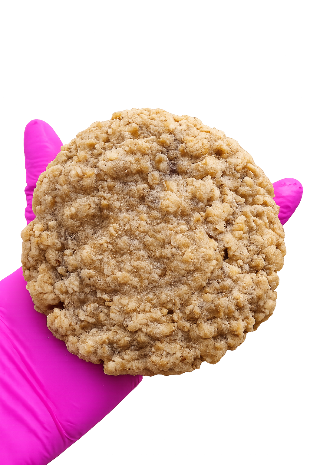 Classic Oatmeal Cookies (12 Pack)